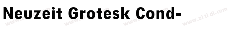 Neuzeit Grotesk Cond字体转换